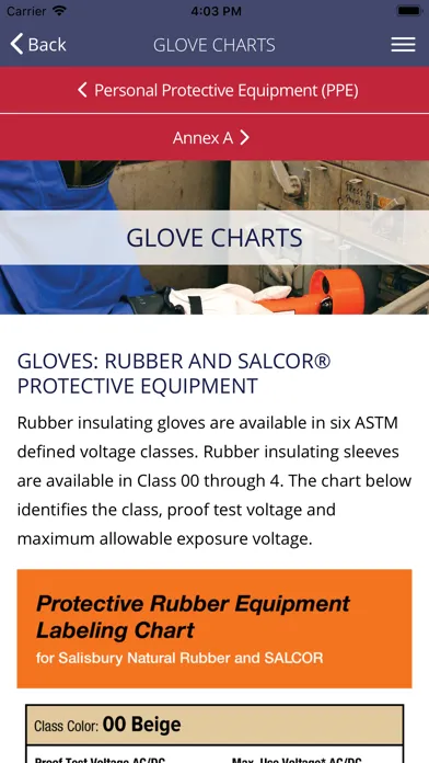 Screenshot di NECA 70E® PPE Selector Guide