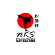 NK Sangalhos