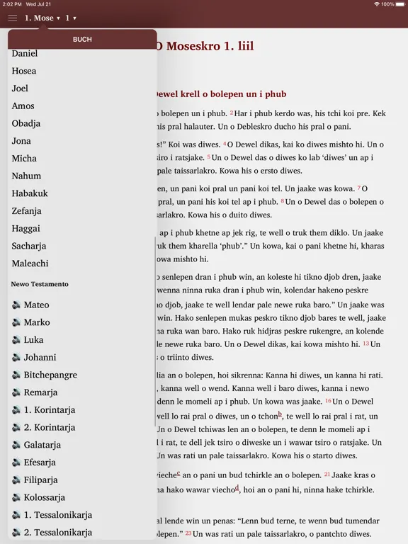 Capturas de pantalla de Bibel in Sinti-Romanes iPad 