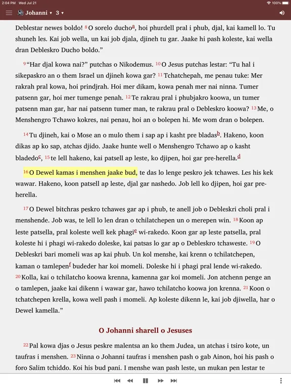 Capturas de pantalla de Bibel in Sinti-Romanes iPad 