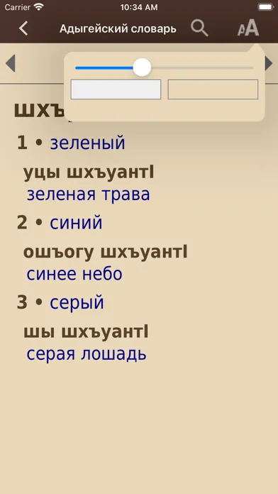 Ảnh chụp màn hình của Adyghe Dictionary