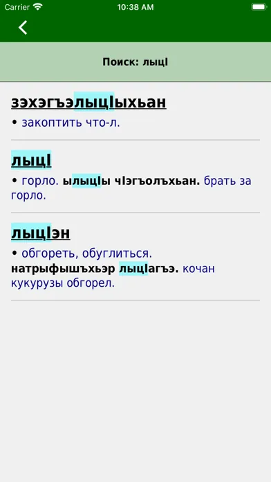 Ảnh chụp màn hình của Adyghe Dictionary