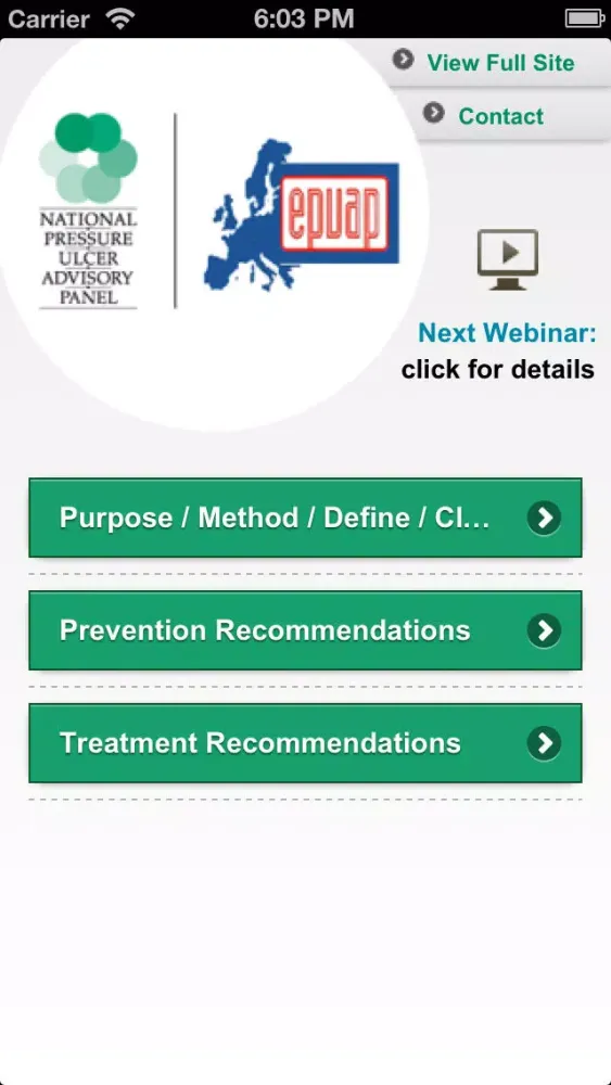 NPUAP/EPUAP 2009 Guidelines Screenshots