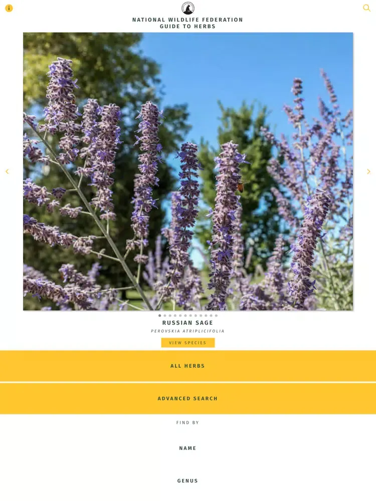 NWF Guide to Herbs iPad  স্ক্রিনশট
