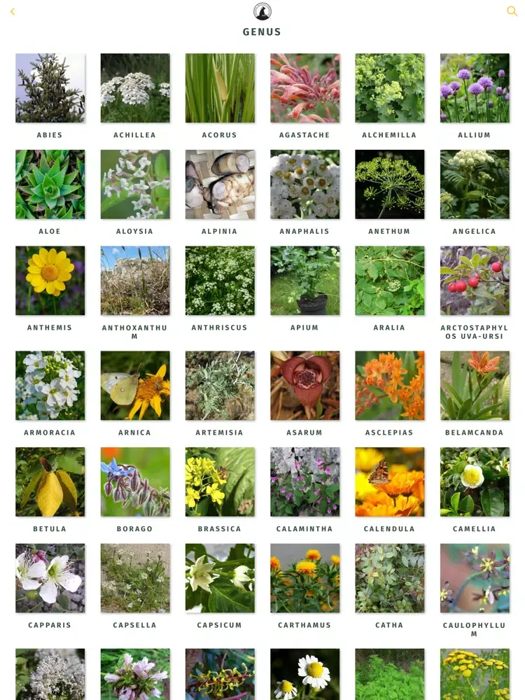 NWF Guide to Herbs iPad  স্ক্রিনশট