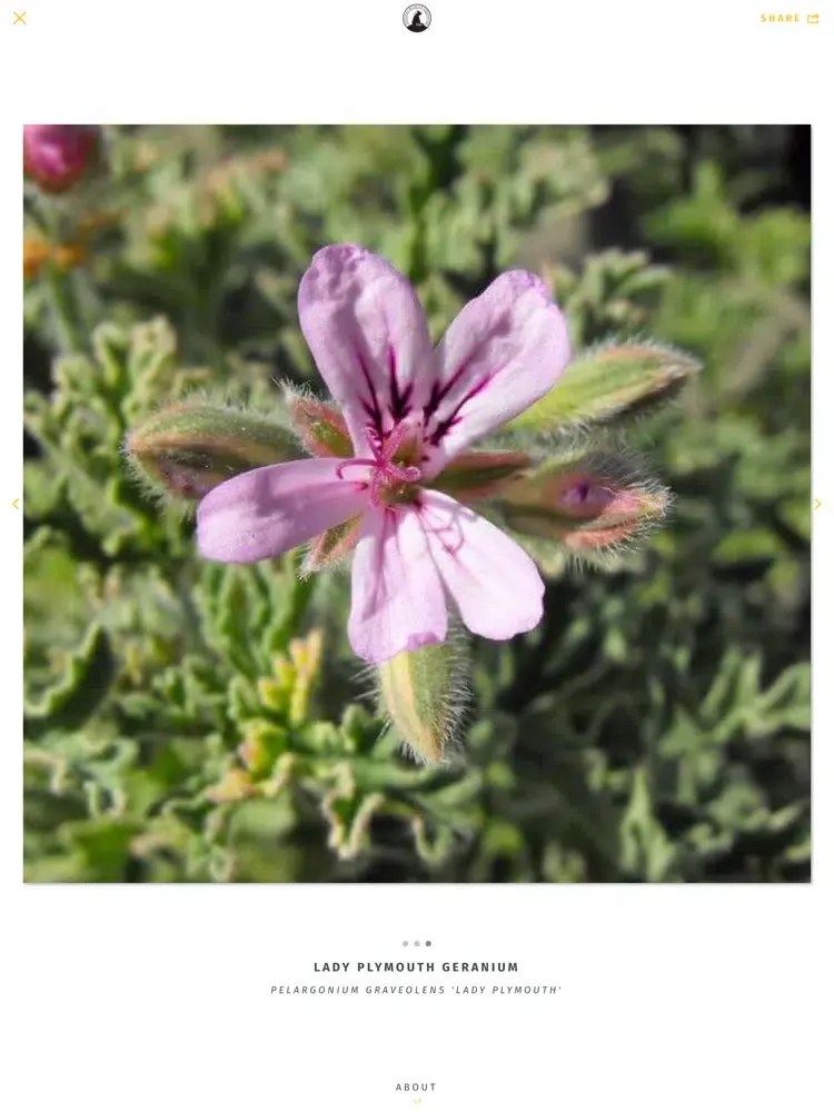 NWF Guide to Herbs iPad  স্ক্রিনশট