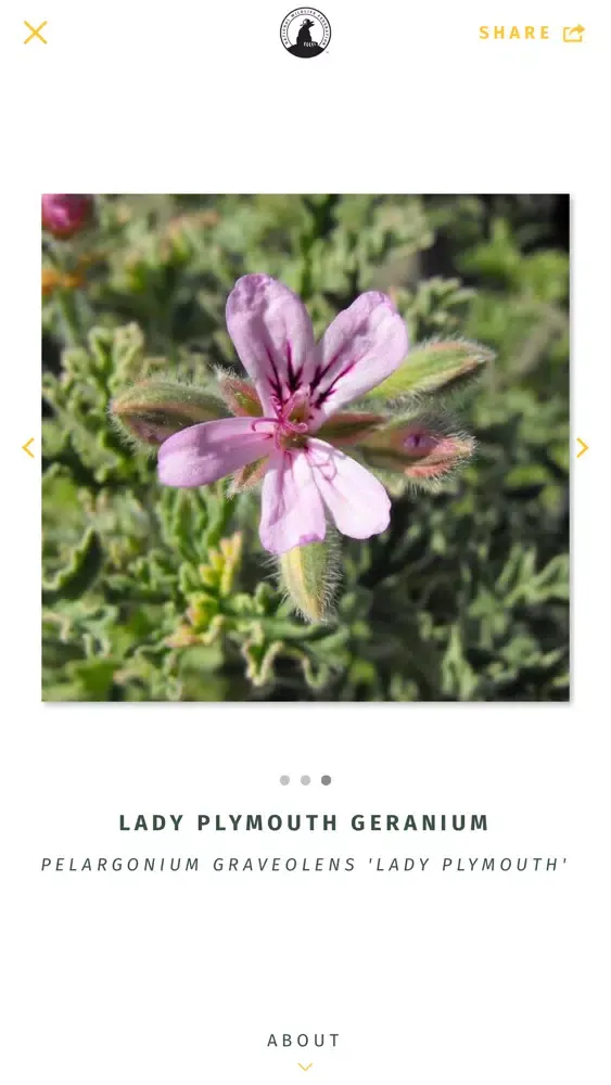 NWF Guide to Herbs স্ক্রিনশট
