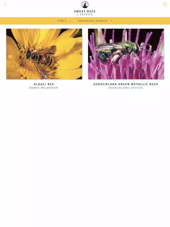 Capturas de pantalla de NWF Guide to Insects & Spiders iPad 
