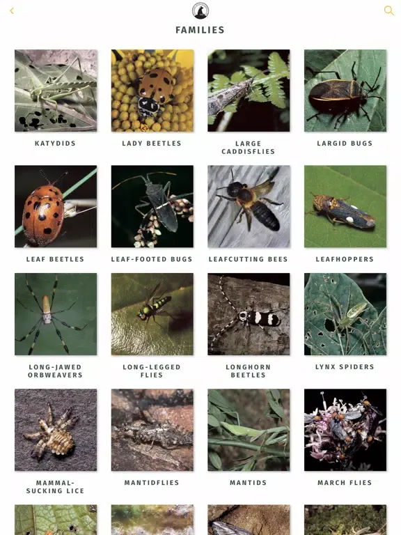 Capturas de pantalla de NWF Guide to Insects & Spiders iPad 