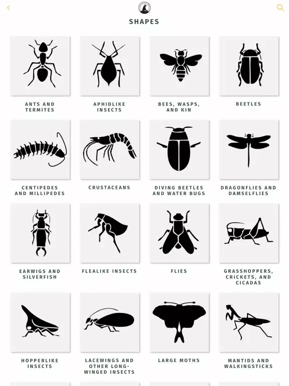 Capturas de pantalla de NWF Guide to Insects & Spiders iPad 