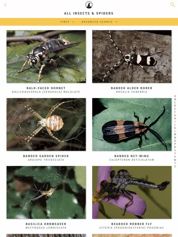Capturas de pantalla de NWF Guide to Insects & Spiders iPad 