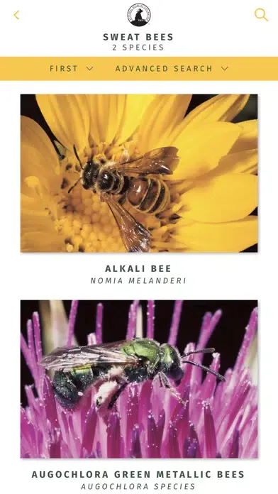 Capturas de pantalla de NWF Guide to Insects & Spiders