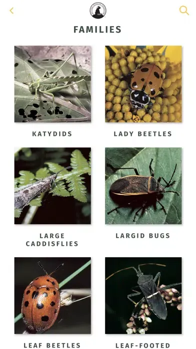 Capturas de pantalla de NWF Guide to Insects & Spiders