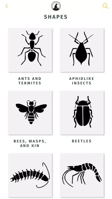 Capturas de pantalla de NWF Guide to Insects & Spiders