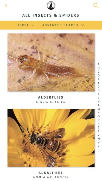 Capturas de pantalla de NWF Guide to Insects & Spiders