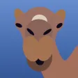 Camel Value Calculator Camel Value Calculator