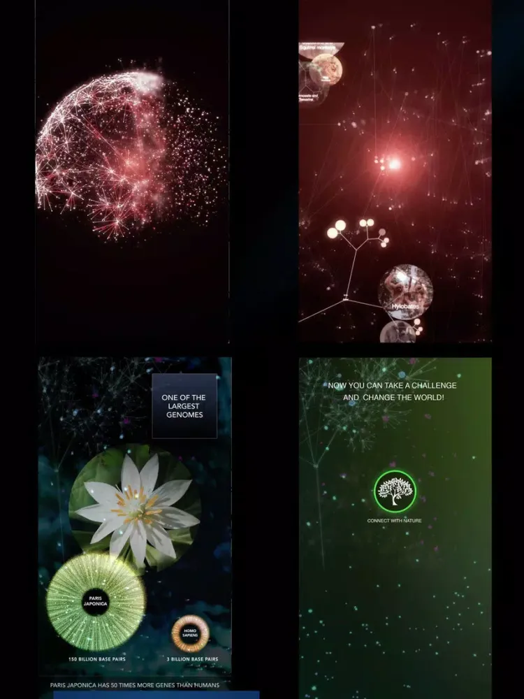 Captures d'écran de ONE TREE ONE PLANET iPad 