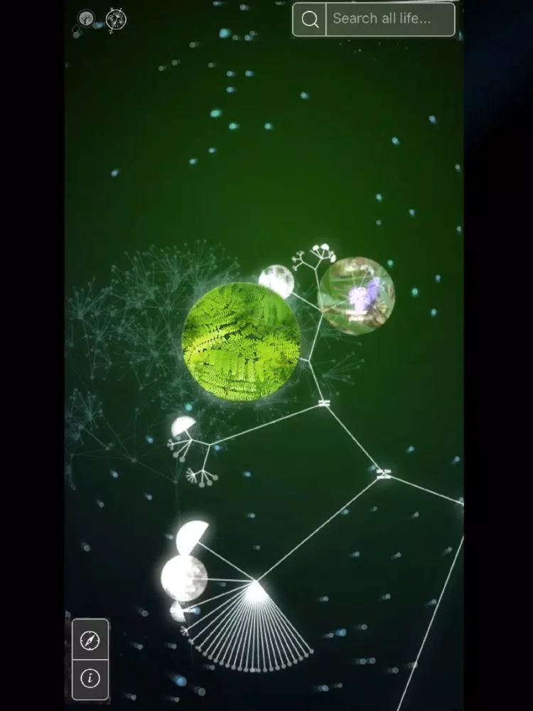 Captures d'écran de ONE TREE ONE PLANET iPad 
