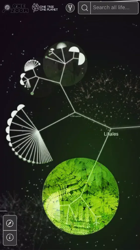 Captures d'écran de ONE TREE ONE PLANET