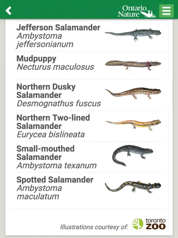 صور Ontario Reptile and Amphibian Atlas iPad 