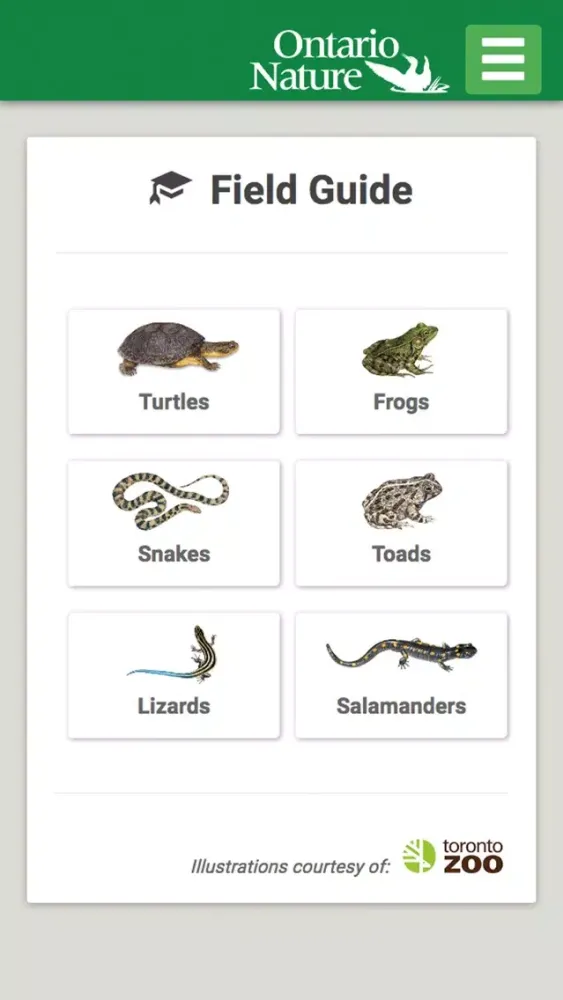 صور Ontario Reptile and Amphibian Atlas