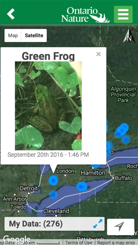 صور Ontario Reptile and Amphibian Atlas
