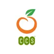 CCS OHRM