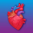 3D Printed Heart App