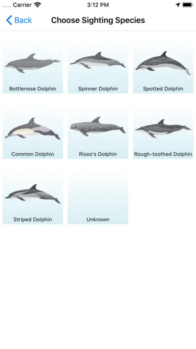 Capturas de tela do Whale and Dolphin Tracker