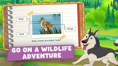 Molly of Denali: Learning App Screenshots