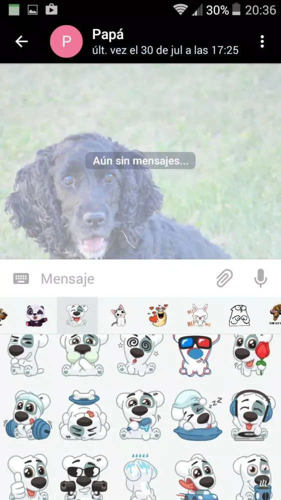 Perla Chat 스크린샷