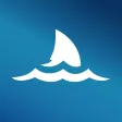 Shark Fin Identifier Shark Fin Identifier