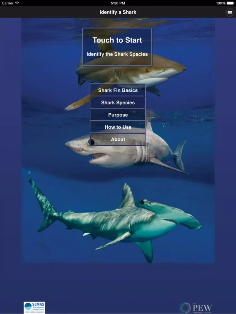 Shark Fin Identifier iPad  Screenshots