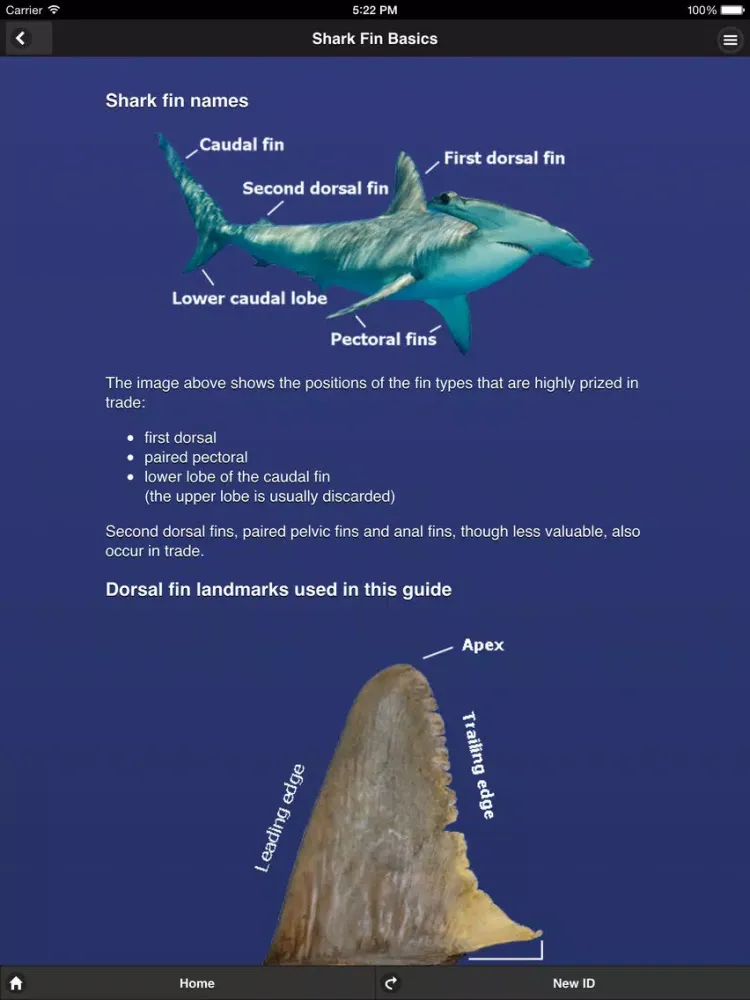 Shark Fin Identifier iPad  Screenshots