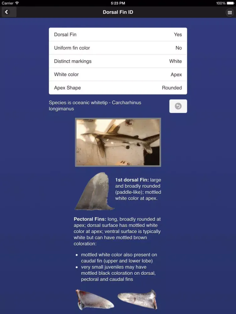 Shark Fin Identifier iPad  Screenshots