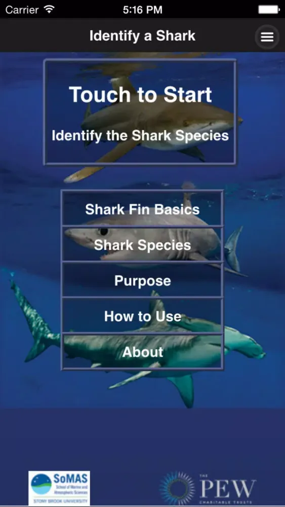 Shark Fin Identifier Screenshots