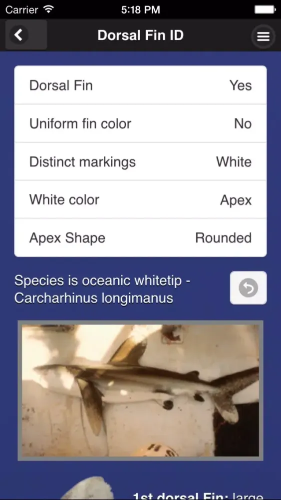 Shark Fin Identifier Screenshots