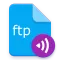 Primitive FTPd