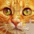 Jigsaw puzzles for everyone