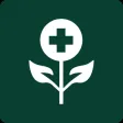 Herbal Remedies Doctor