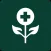 Herbal Remedies Doctor