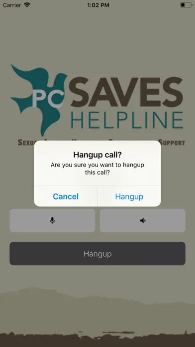 Screenshot di PC SAVES Helpline