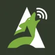 Animal Audio Real animal sound