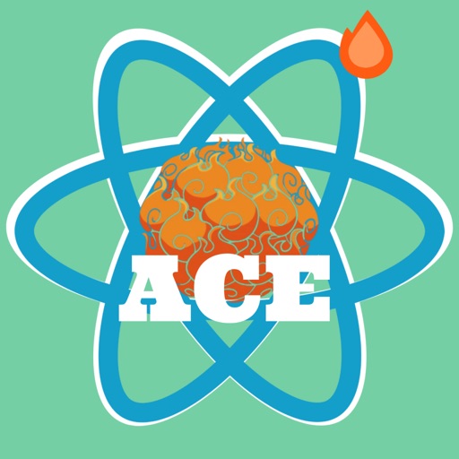ACE Web手册