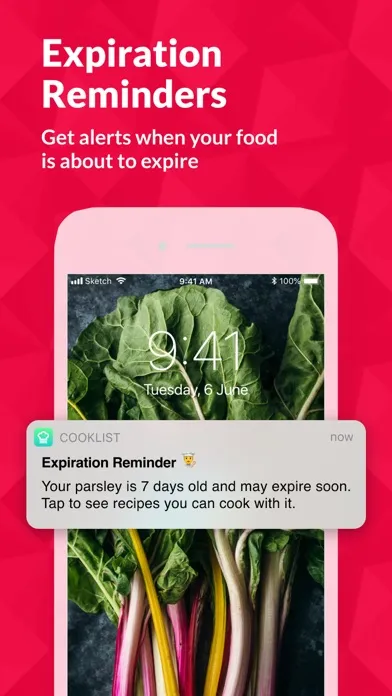Screenshot di Cooklist: Pantry Meals Recipes