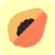 HealthPapaya: Weight Loss App