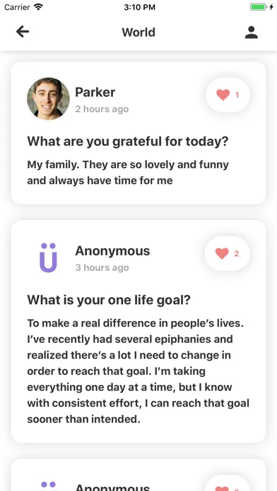 Müse: Daily Reflection Journal应用截图