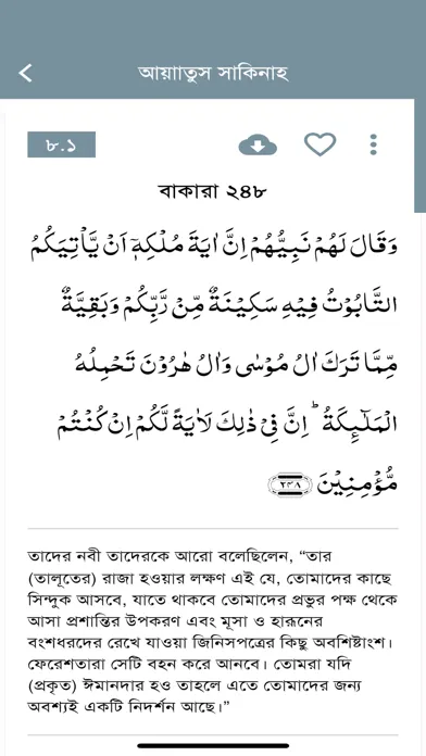 Captures d'écran de Ruqyah Ayat