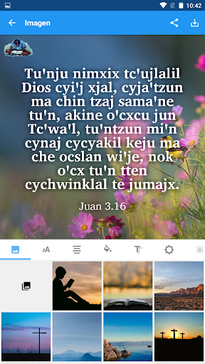 Northern Mam Bible Screenshots