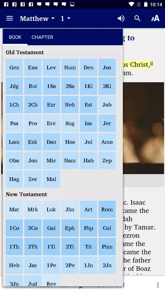 Ảnh chụp màn hình của World English Bible multimedia